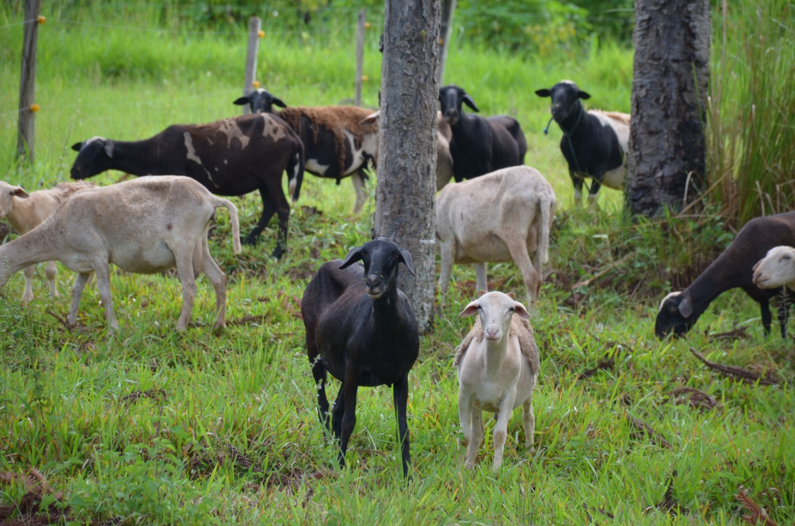 4f45932c-9835-46e5-841c-de5201296f89