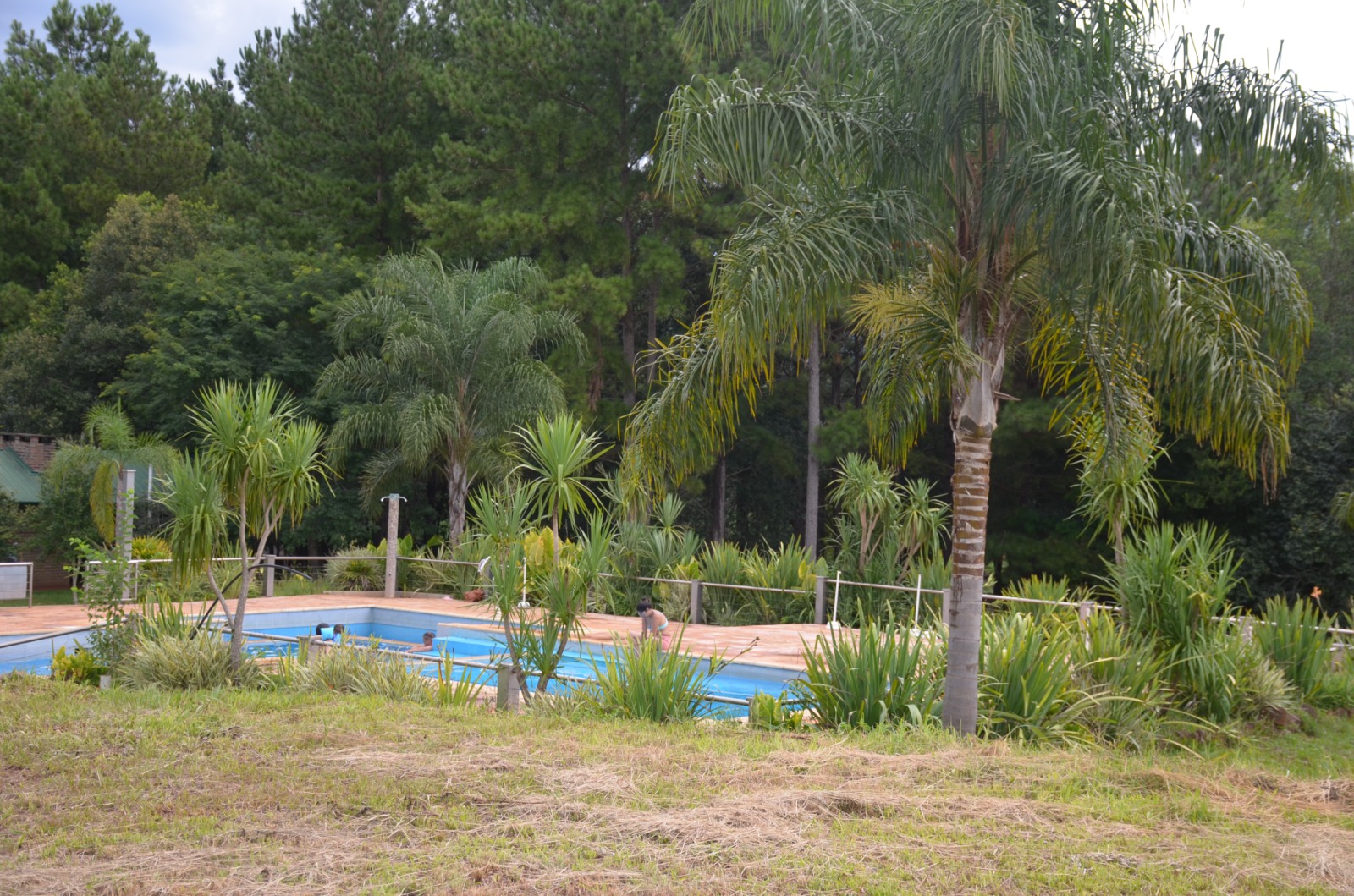 7b4a152e-91b7-4b11-96c2-e31a441a2c02