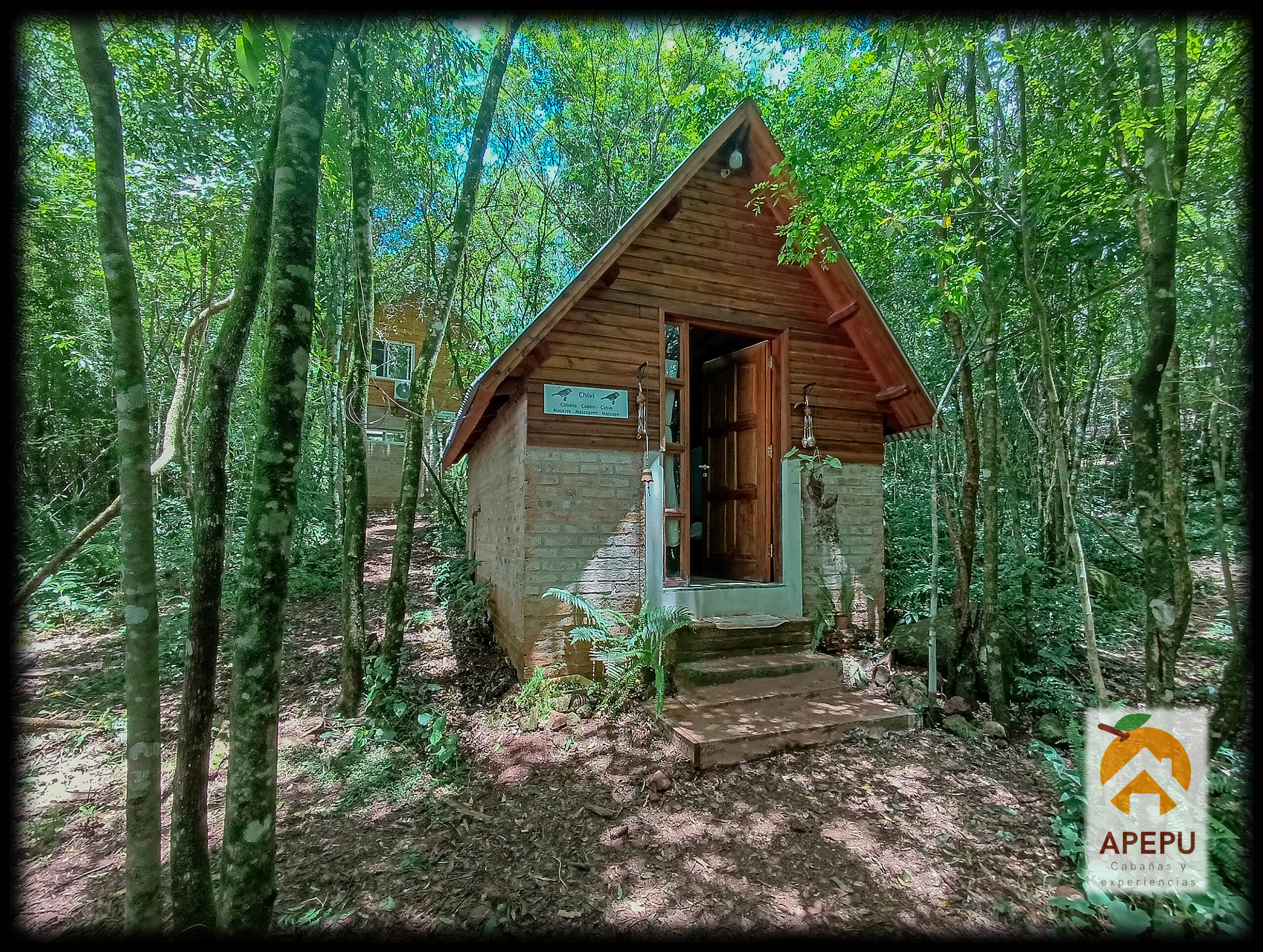 IMG_20251117_120116 copia