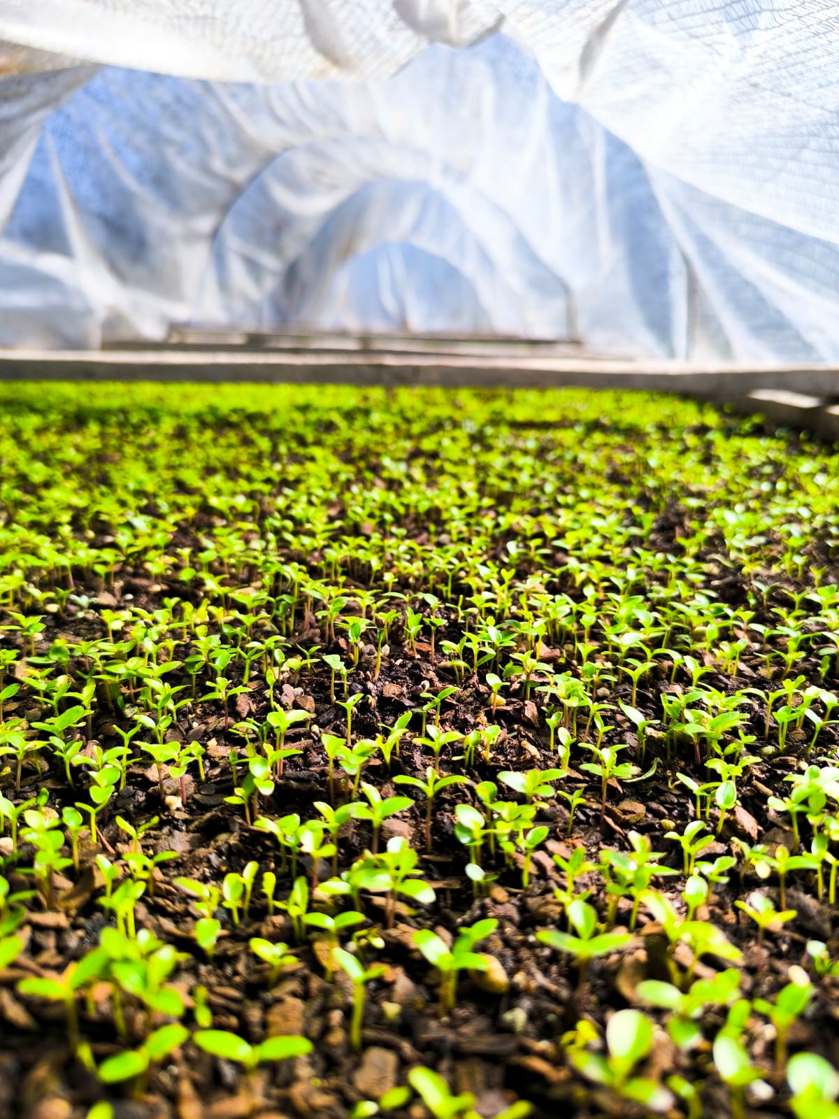 WhatsApp Image 2025-12-22 at 11.48.10