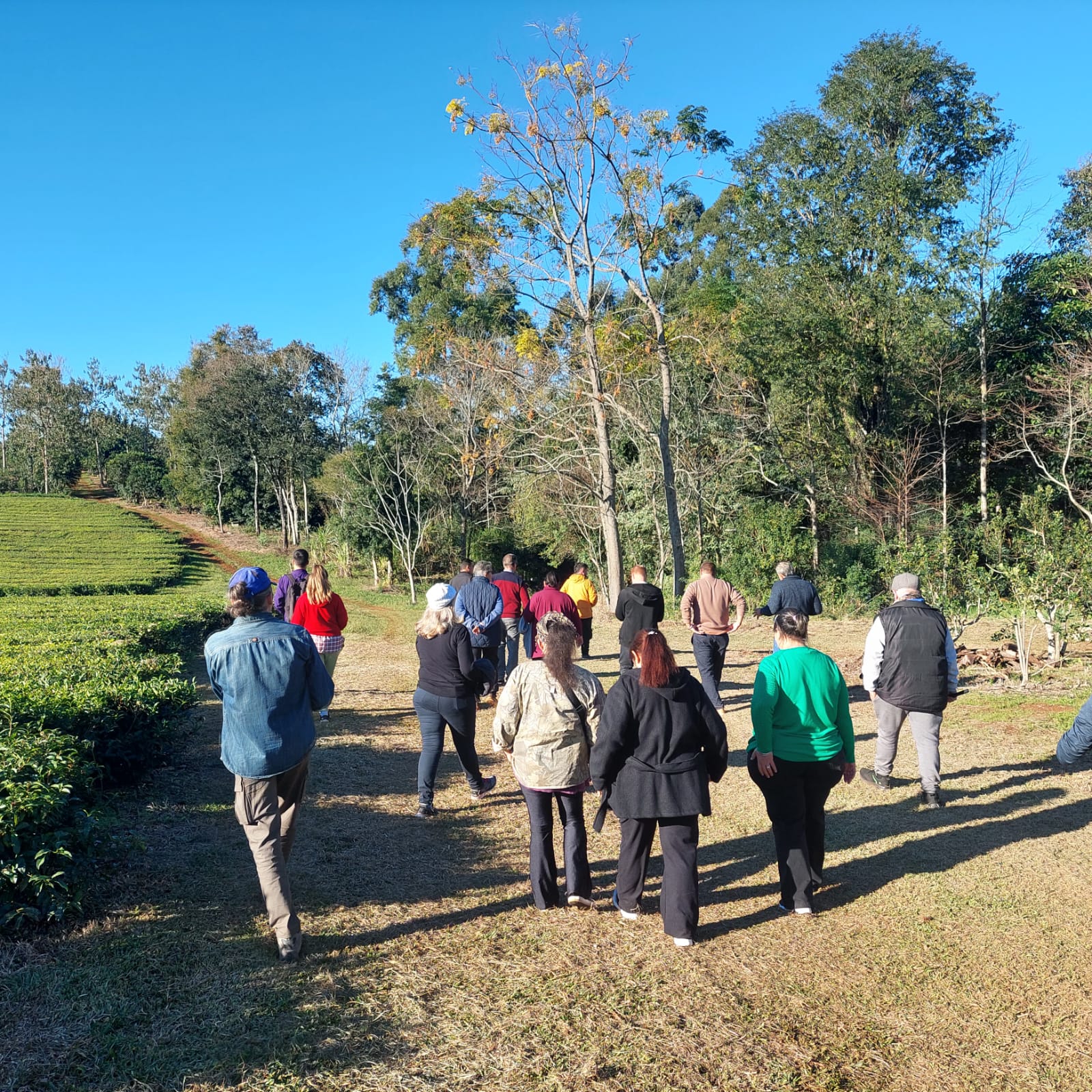 WhatsApp Image 2025-12-22 at 11.54.42 (1)