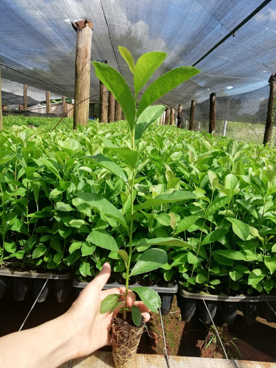 WhatsApp Image 2025-12-22 at 11.54.56 (1)