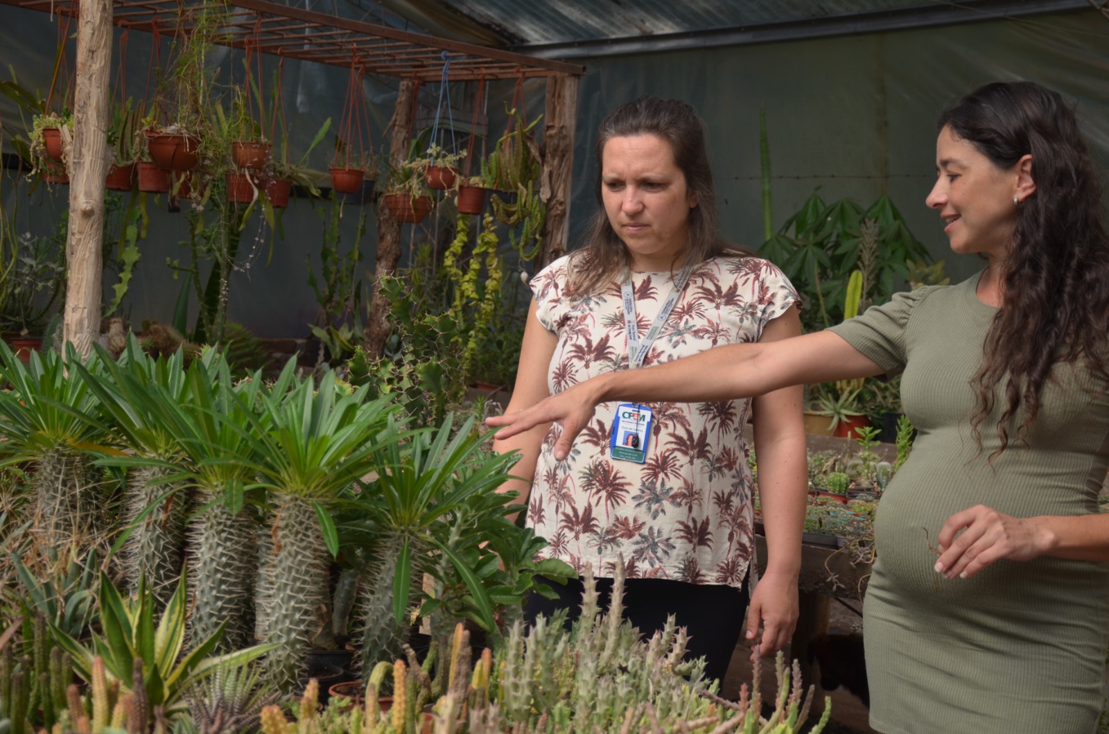 WhatsApp Image 2025-12-30 at 11.56.38