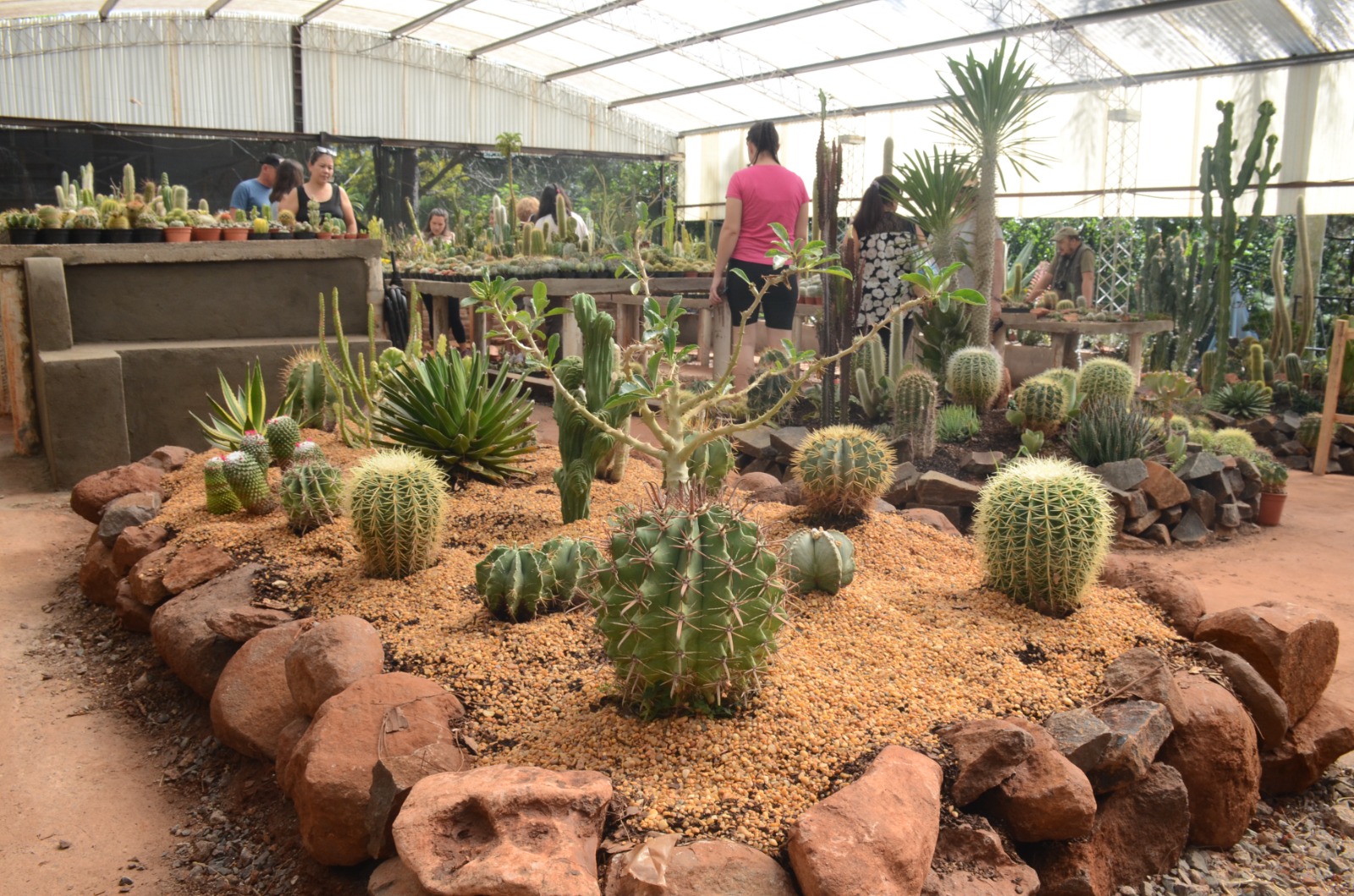 WhatsApp Image 2025-12-30 at 11.56.39 (1)