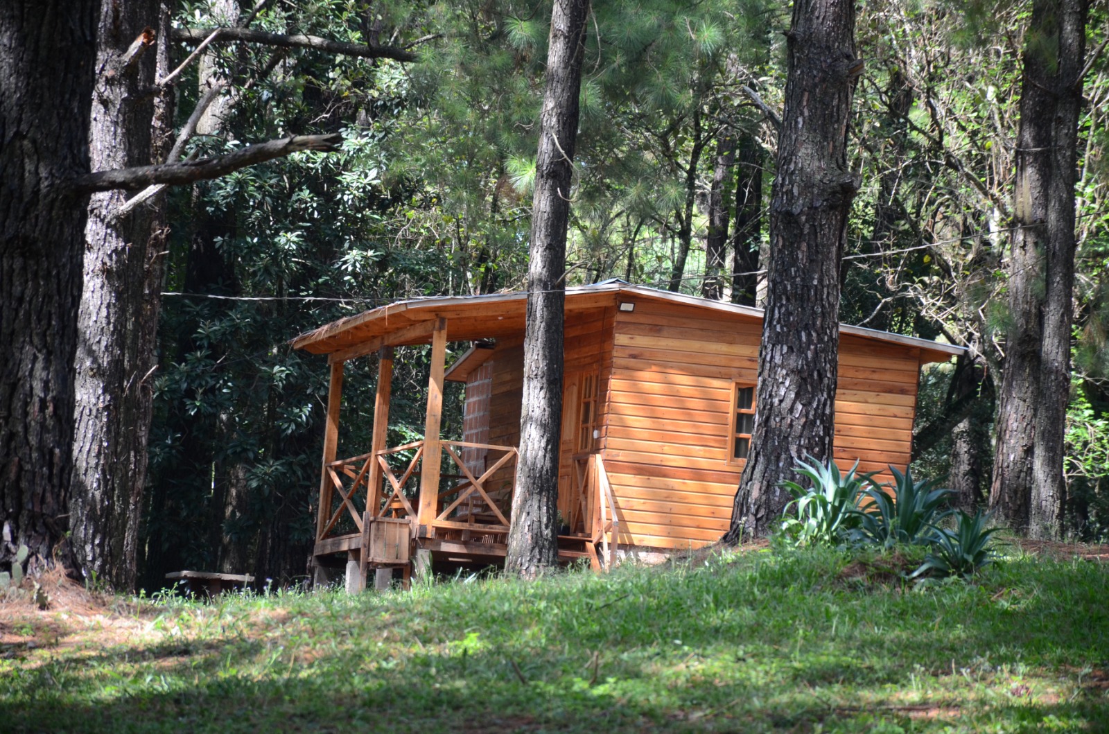 WhatsApp Image 2025-12-30 at 11.56.40 (1)