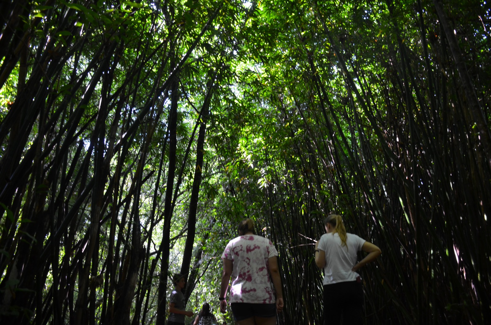 WhatsApp Image 2025-12-30 at 11.56.41 (1)