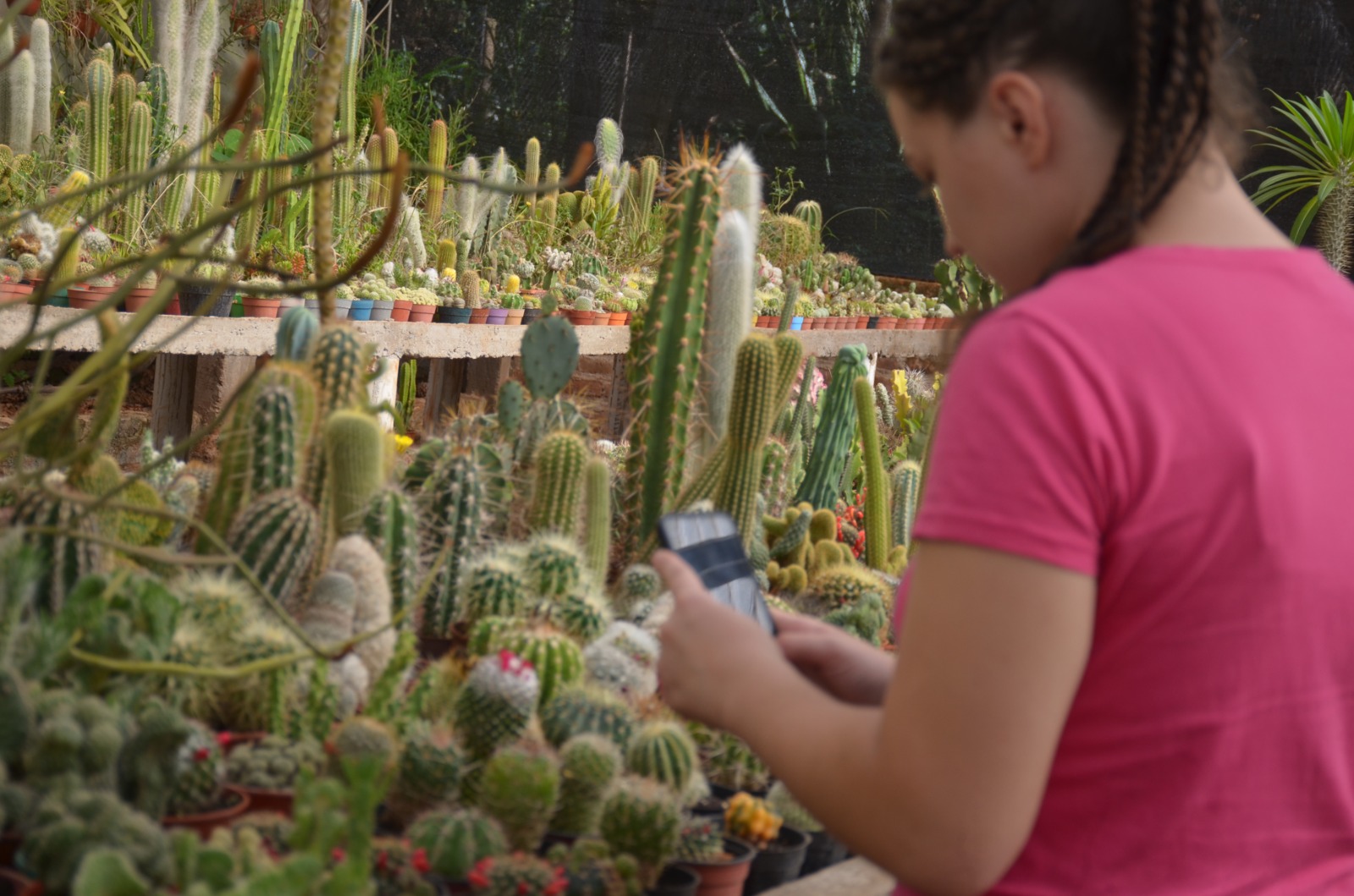 WhatsApp Image 2025-12-30 at 11.56.41