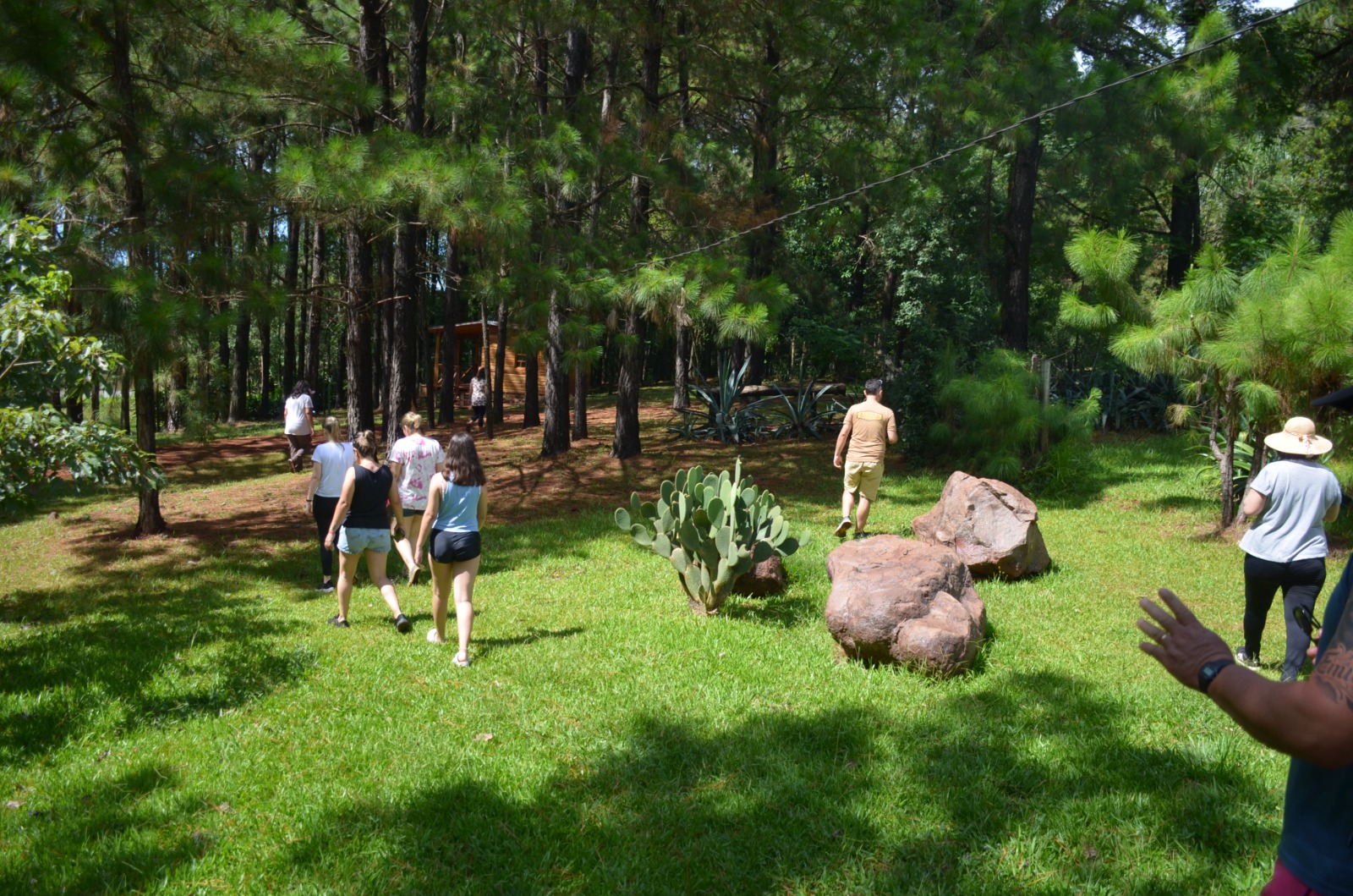 WhatsApp Image 2025-12-30 at 11.56.44