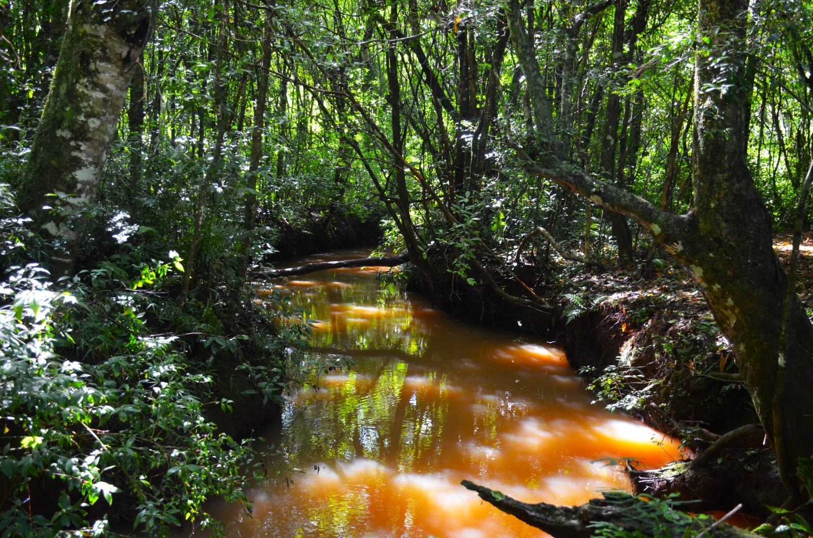 WhatsApp Image 2025-12-30 at 11.56.47