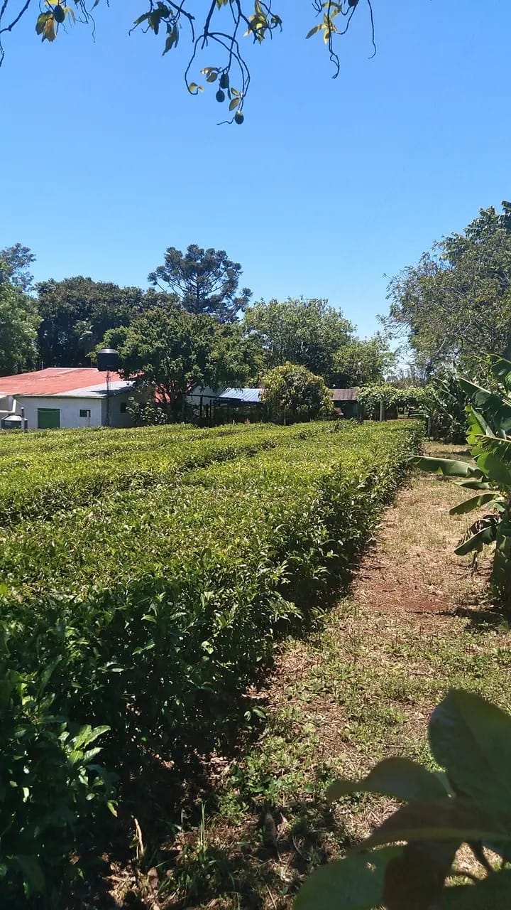 WhatsApp Image 2026-01-21 at 09.27.23 (2)